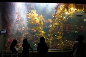 �����ՊC����