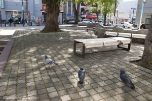 �n�g�|�b�|