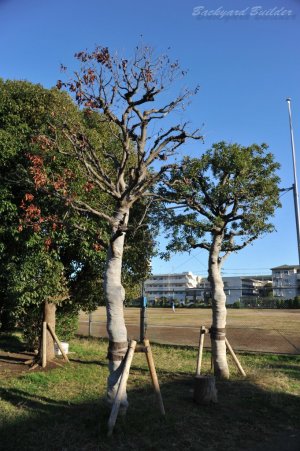 ����҂���