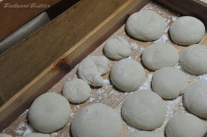 �N�Ɉ�x�̂��݂�