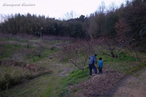 �����������Ƃ�������