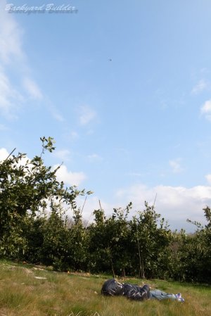 �Q�Ȃ�����g��