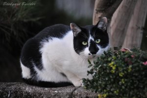 �N�������