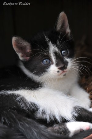 �N�������