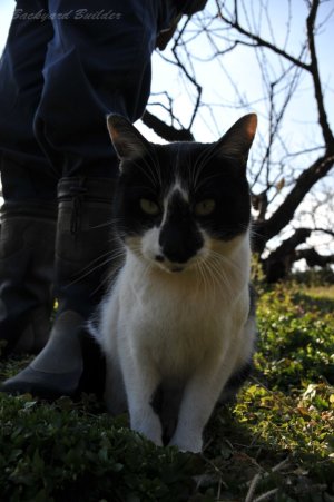 �N�������