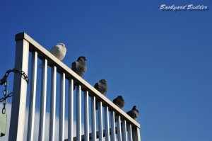 �S�����W���[