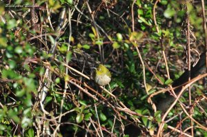 210mm@DX�N���b�v