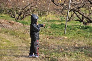 �S�[�J�C�K���R���o�X�^�[