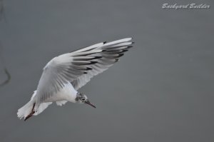 ��肩����