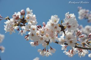 �\���C���V�m