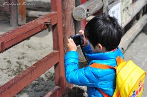 �}�C�J����