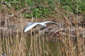 ��肩����