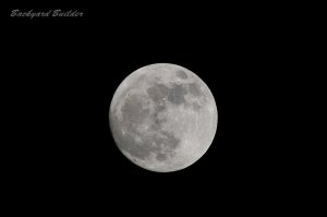 �X�[�p�[���[��