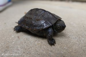 �j�R�����