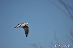 ��肩����