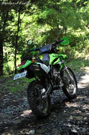 ���}�q���ɏP��ꂽ���˗ѓ��ɂ�