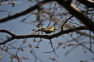 �V�W���E�J��