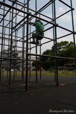 ��[����ĉ���