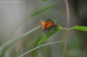 �x�j�V�W�~