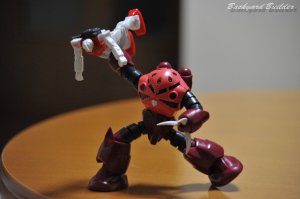 �Y�S�b�N�ō�(^^)