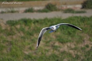 ��肩����