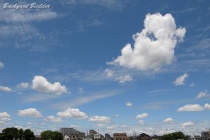 ��������ĕ�����