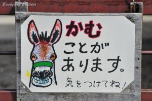 ���n����