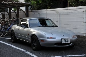 �}���V�����̒��ԏ�ɂ�