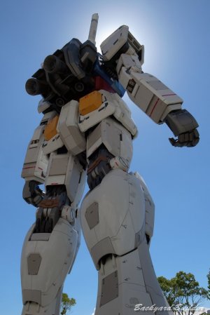 �K���_�� �J�b�R�����`(^^)