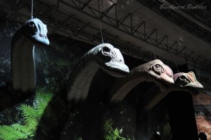 �����J���e�b�g