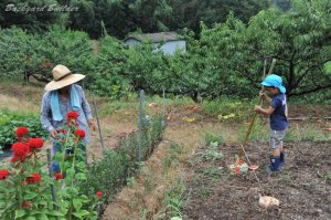 �X�C�J����