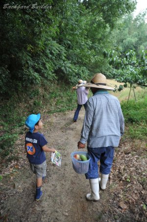 �����͂�����������70�΂̒a����