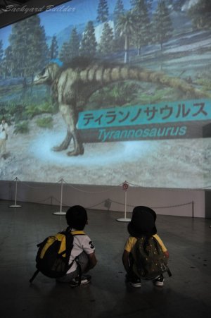 �e�B�����m�U�E���X