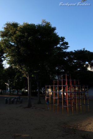 ���񂩂�����