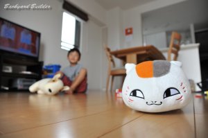 �j�����R�搶