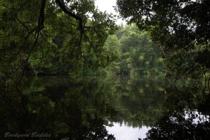 ���C�ɓ���̖�r(^^)