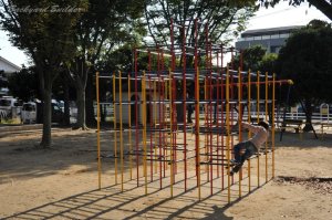 �W�����O������