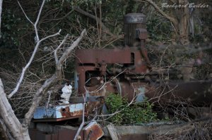 ���낻����݉�̋G�߂ɂ�...