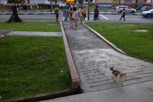 �O�єL in Singapore