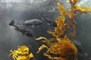 �����ՊC����������