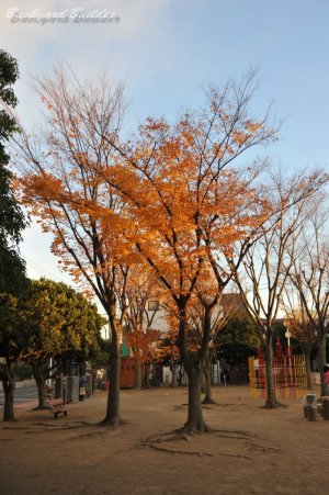 �ӏH������