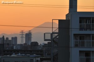 �x�����_����]�ޕx�m