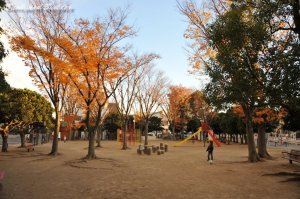 �u���V�R�F�v��Ⴢ�邠�Ȃ��̓i�C�X�t�H�[�e�B�[�Y