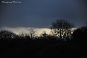 �_��I�ȗ[���