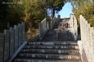 ���{�Q��