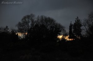 ���͏����Ă����́A�����������