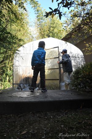 ���������n�E�X