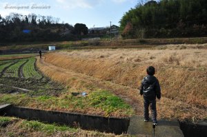 ����������� ������������