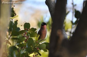 4���A���E�\