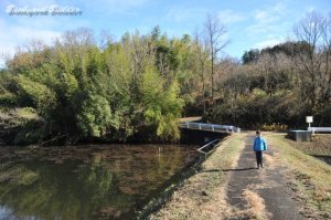 ���j�N�����p��